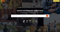 Доска объявлений о пропаже собаки и кошки